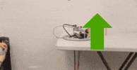 Upvote GIF by Imgur