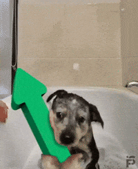 Upvote GIF by Imgur