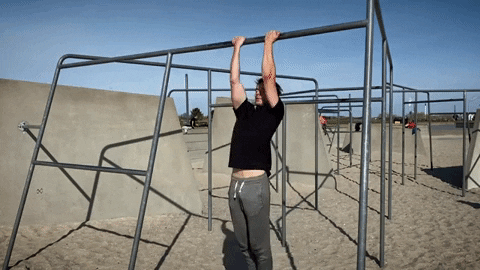 jonasgutfeltskalbo giphygifmaker GIF