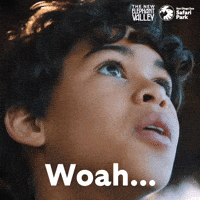 San Diego Zoo GIF by San Diego Zoo Wildlife Alliance