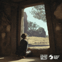 San Diego Zoo GIF by San Diego Zoo Wildlife Alliance