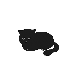 Cat Hello Sticker