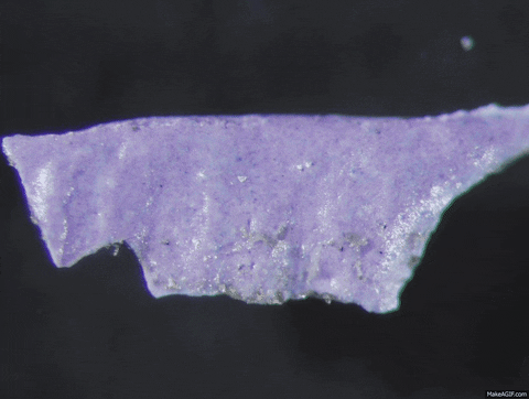 GIF by Science Friday