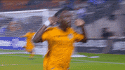 Major League Soccer Football GIF by Houston Dynamo