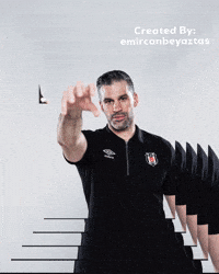Beşiktaşbasketbol GIF