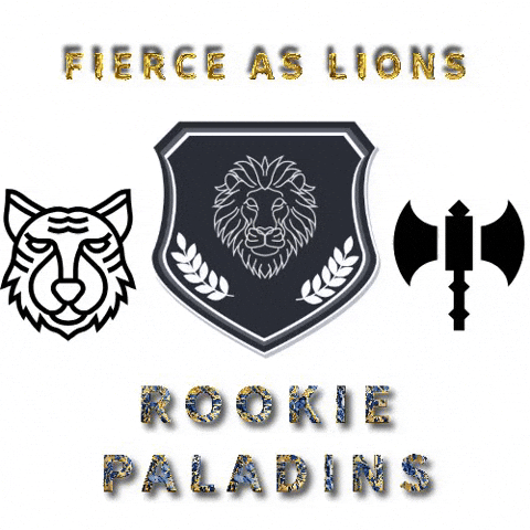Rookie Paladins logo 1