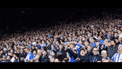 S6 Hillsborough GIF by Sheffield Wednesday Football Club