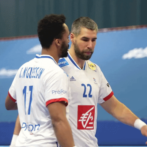 Ffhandball GIF by Fédération Française de Handball