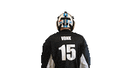 Floorball Salibandy Sticker by F-liiga