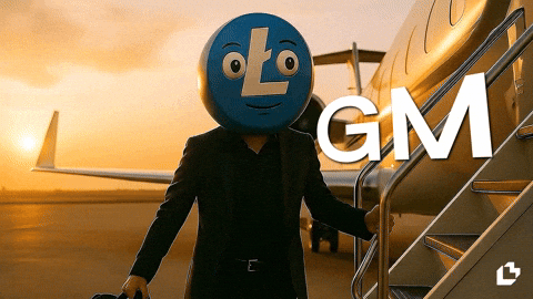 Good Morning Hello GIF by LitVM
