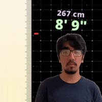 8' 9"