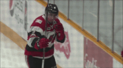 td place yes GIF by Ottawa 67's