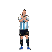 World Cup Football Sticker by Panini America