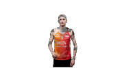 beach volleyball Sticker by Eredivisiebeach