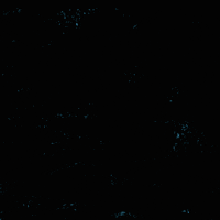 Vote Voting GIF by Creative Courage