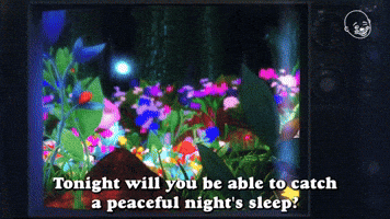 A Good Nights Sleep GIF by Eternal Family