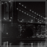 #newyork #negronibar #bar #style #cuote #drinks GIF by Negroni