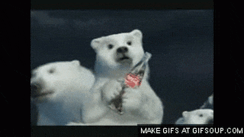 polar bear GIF