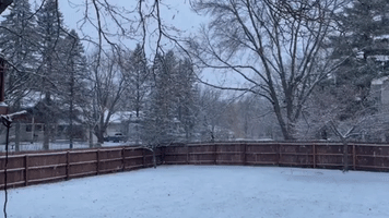 Wintry Weather Brings Snow to Minnesota