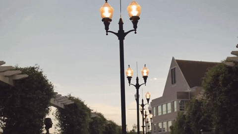 college campus GIF by Florida State University