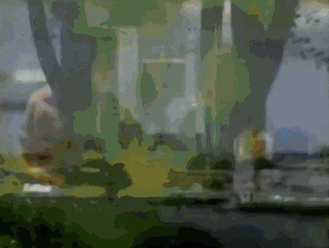 Tampa Bay Vintage GIF by MANGOTEETH