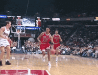 chicago bulls GIF
