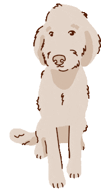 Wagging Golden Doodle Sticker by Natural Dog Company