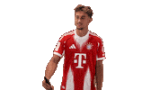 Fc Bayern Football Sticker by Bundesliga
