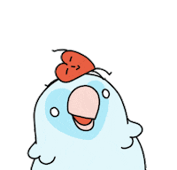 Heart Love Sticker by A Budgie's Life