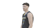 Fun Brush Off Sticker by Delaware Blue Hens