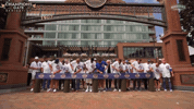 Chicago Cubs Baseball GIF