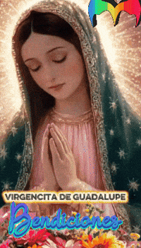 Gracias Amigos GIF by Murcianys LLC