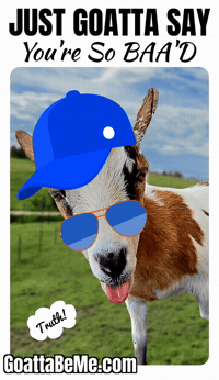 Youre Cool GIF by Goatta Be Me Goats! Adventures of Java, Toffee, Pumpkin and Cookie!