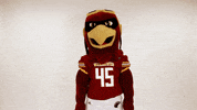 Ace Ulm GIF by University of Louisiana Monroe
