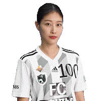 Football Sport Sticker