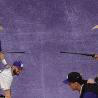 Baseball Wesleyan GIF by KWC Panthers