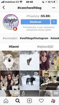 GIF by BUSINESSGRAM