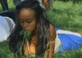 vegetarian GIF