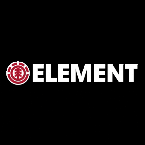 Elementargentina giphygifmaker skate skateboarding element GIF