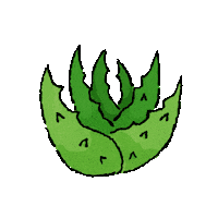 Aloe Vera Sticker by froschkorea