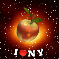 New York Usa GIF