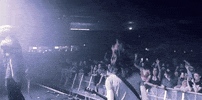 maydayparade music band concert mayday parade GIF