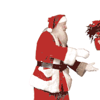 Ville_Angers christmas flowers santa poinsettia Sticker