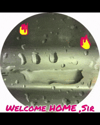 Welcome Home Hello GIF by KaoruHironaka