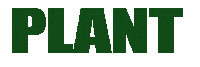 Plant Based Love Sticker