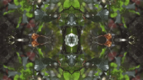 Art Love GIF by jorgemariozuleta