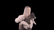 hartundhoeflich dog mood good doggo GIF