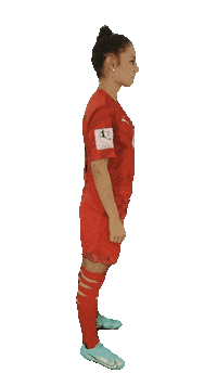 schanzerinnen frauenfussball nichtohnemeinemädels schanzerinnen 2 frauen bundesliga Sticker
