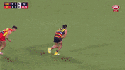 Round 3 Celebration GIF by Adelaide Crows