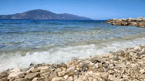 tonicove giphygifmaker albania radhime GIF